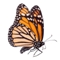 vxworks migration