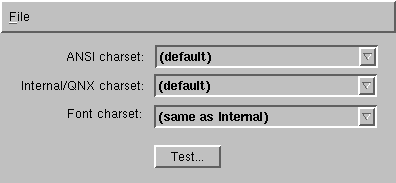 Terminal charset setup